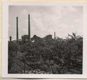 Rostock, Aktien-Zuckerfabrik