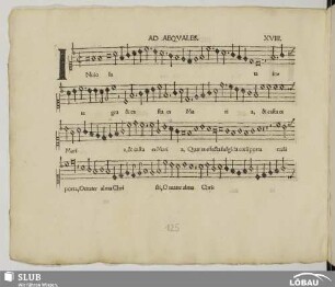 XVIII. Anonymus: Inviolata integra (Ad aequales)