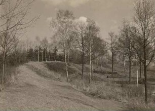 Oberlausitz. Burgwall Kopschien bei Krostwitz (Crostwitz). Wallkessel des Innenringes gegn Osten