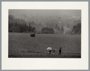 Richard Serra, Lemgo Vectors (Elevations for Walter), Lemgo