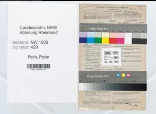 Entnazifizierung Peter Roth, geb. 25.04.1903 (Bauingenieur)