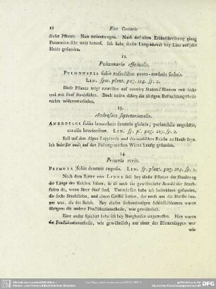 13. Androsace septentrionalis
