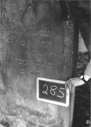 Grabstein 285 (Index: 99894600) Material: Sandstein Zustand: leicht verwittert Maße HxBxT: 131x70x13 cm Beschreibung: Stele mit eingezogenem Rundbogenabschluss Symbolik: Blüte, Blütenkelche: Grabstein 285 (2)