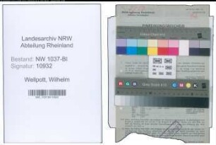 Entnazifizierung Wilhelm Wellpott , geb. 24.04.1909 (Ingenieur)