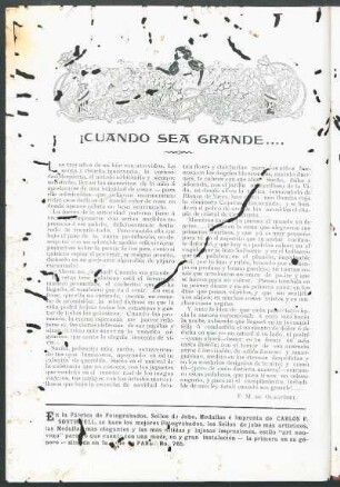 ¡Cuando sea grande...