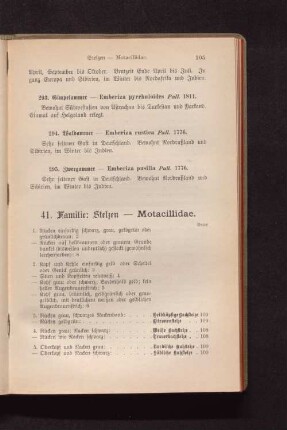 41. Familie: Stelzen - Motacillidae.