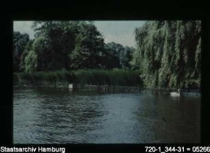 Alster, Uferbefestigung