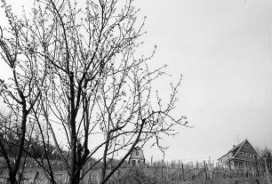 Weinbergshäuschen; Heppenheim, Im Quäler