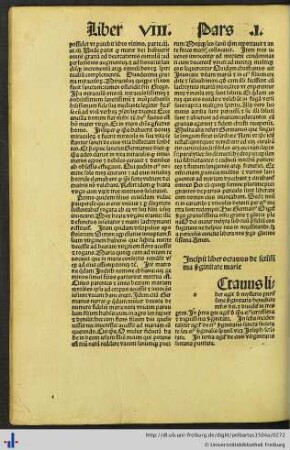 Liber VIII. De Virginitate.
