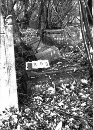Grabstein 893