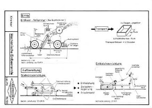 Mechanische Erdbeerernte