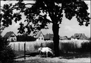 Havelse, Danziger Straße, (jetzt: Elbinger Straße)