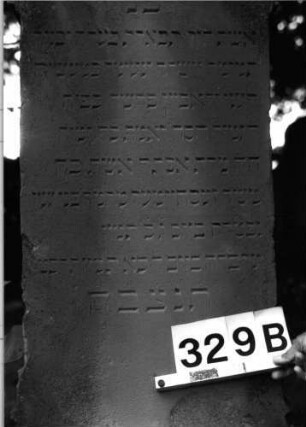 Grabstein 329 (Index: 100085193) Maße HxBxT: 180x56x30 cm Beschreibung: ädikulaart. St. m. Säulen, getreppt. Sockel, Rundbogenfries, eingezog. Rundbogenabschl.: Grabstein 329B