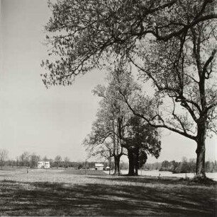 Ursula Landshoff