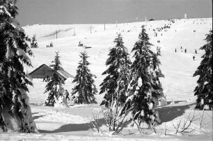 Feldberg: Skiläufer auf dem Feldberghang