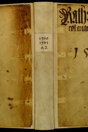 Ratsprotokolle, 1560 Juli 28. - 1561 Juli 20.
