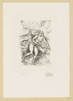 Nymphe