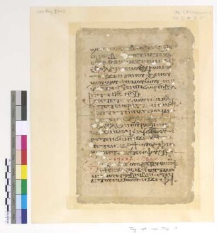 [Lectionary] : Fragm. copt. Pischoi Lect. Frag. 1