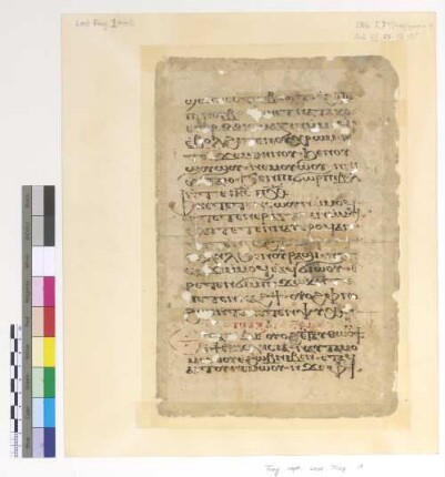 [Lectionary] : Fragm. copt. Pischoi Lect. Frag. 1