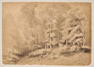 Düsternbrook
