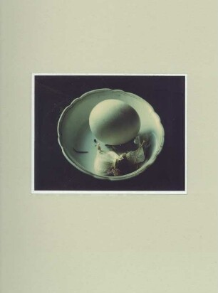 Polaroid #12