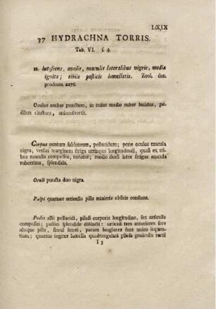 37. Hydrachna Torris.