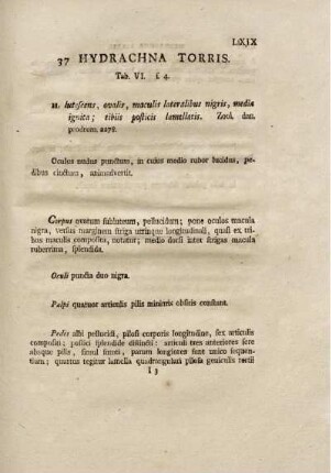 37. Hydrachna Torris.