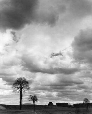 Wolkenbilder. Kahle Bäume mit Wolke. Ansicht mit Häusern eines Dorfes
