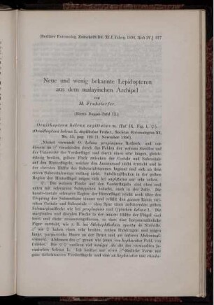 Neue und wenig bekannte Lepidoptercn aus dem malayischen Archipel
