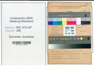 Entnazifizierung Anneliese Schneider , geb. 04.08.1920 (Bueroangestellte)