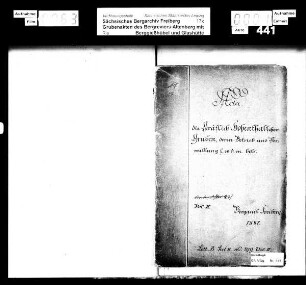 Betriebsangelegenheiten und Verwaltung der Gräflich Hohenthalschen Gruben, Band 2