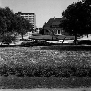 Sülzberg: vorn Blumenrabatten des Kurparks: links Bangertstraße mit Hochhaus der Kreisverwaltung [später Gebäude B]: rechts Verwaltungsgebäude des Amtes Oldesloe-Land