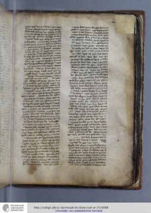 Blatt 44 verso
