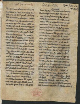 Glossen zu den Satiren des Juvenal (unvollst.)