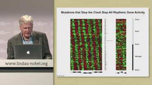 Circadian Rhythms and Their Impact on Physiology and Behaviour