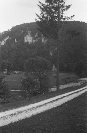 Donaudurchbruch : Blick auf eine Felsbruchkante an der Donau bei Gutenstein