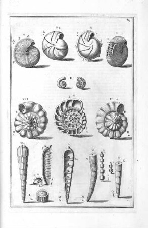 Tab. 19