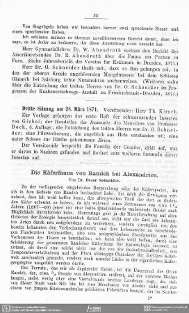 Die Käferfauna von Ramleh bei Alexandrien