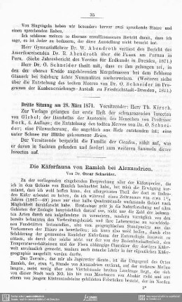 Die Käferfauna von Ramleh bei Alexandrien