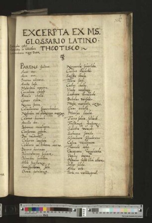Excerpta ex ms. Glossario latinotheotisco
