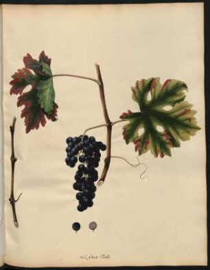 92. Le faux Tinto