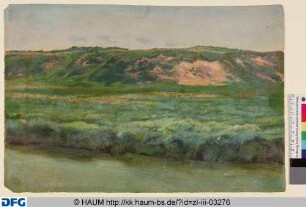 Uferlandschaft