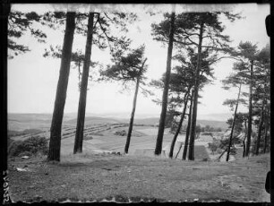 Lichtenhain bei Oberweissbach in Thüringen .33