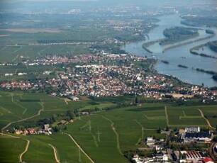 Oestrich-Winkel (Pfalz)