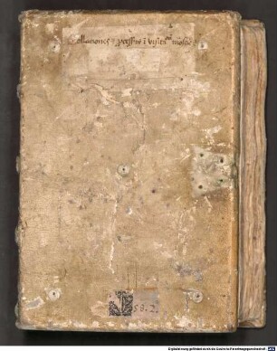 Sermones, inprimis de visitatione - BSB Clm 19638