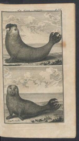 Tafel: Le Lion-marin.