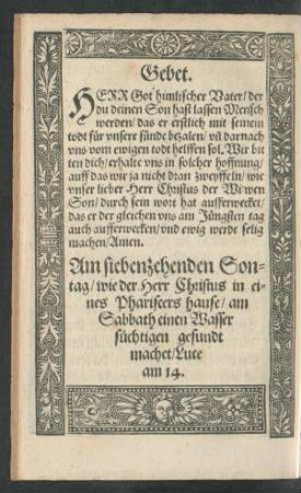 Am siebenzehenden Sontag/ wie der Herr Christus in eines Phariseers hause/ am Sabbath einen Wasser süchtigen gesundt machet ...