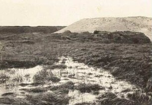 Schleswig-Holstein. Moor bei Kiel (durch auflagernde Sandschichten gedrückt)