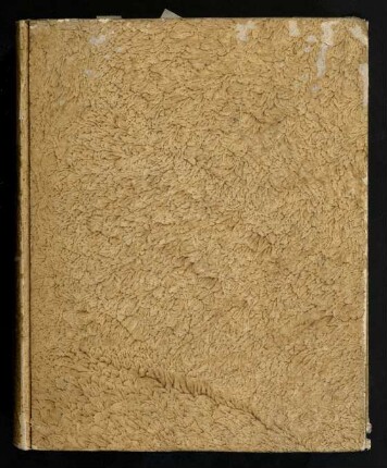 De Casibus Reservatis Tractatus Canonico-Theologicus : Quam Ad Majorem Dei Gloriam, Deiparæ Virginis Mariæ, Et S. Josephi Honorem