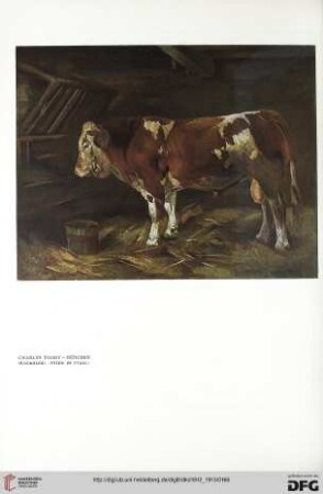 Neue Arbeiten von Charles Tooby